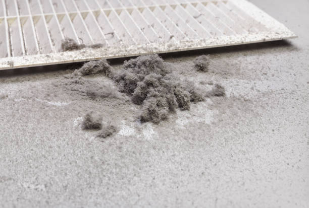 Best Professional Duct Cleaning Services  in Caway, AR