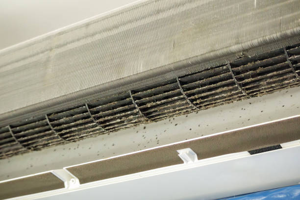 Best Commercial Air Duct Cleaning  in Caway, AR